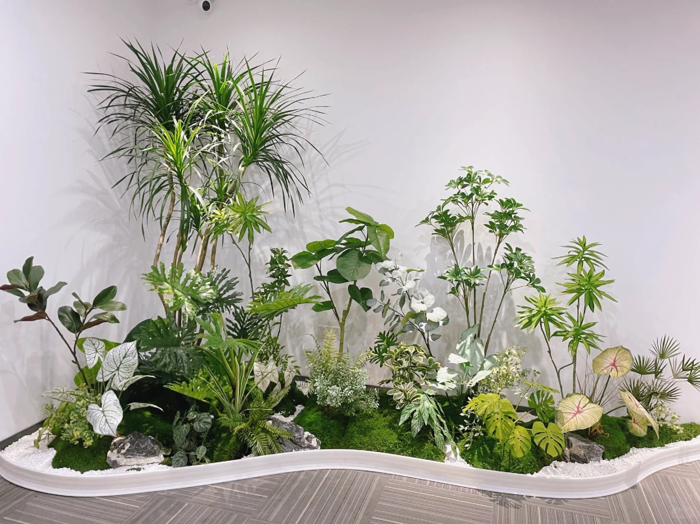 专业花木出租服务,宁波前湾的绿植宝藏等你来寻